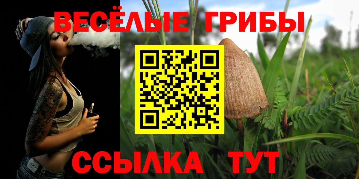 цены   Вход с VPN  Похвистнево  Псилоцибиновые грибы ЛСД 