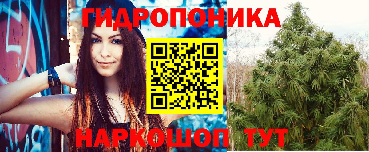 Бошки Шишки MAZAR Похвистнево